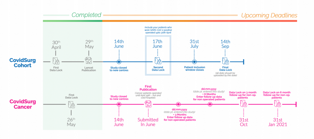 timeline V12 image