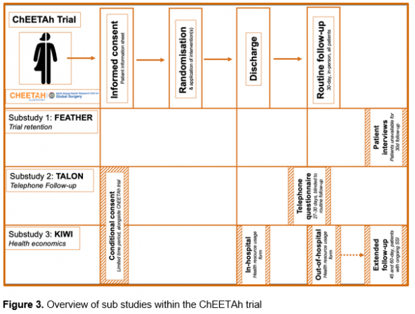 TALON – 2